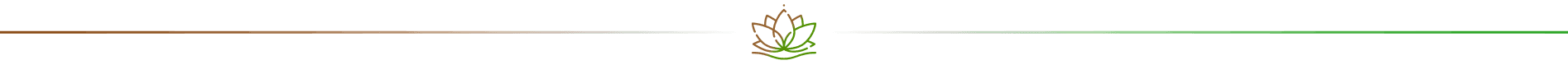Séparateur lotus
